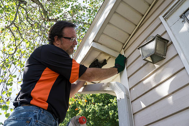 Best Steel Siding Installation  in Ronan, MT